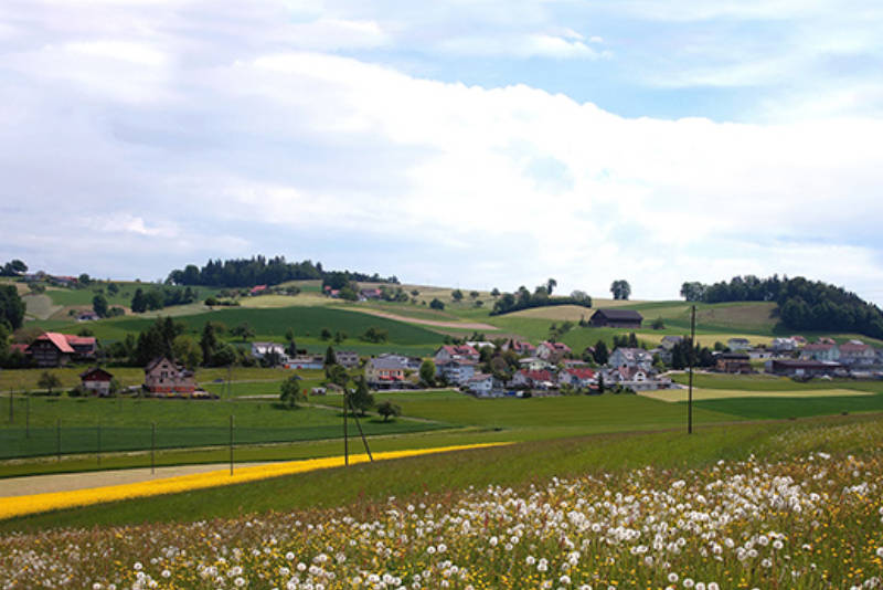 Geoportal der Gemeinde Fischbach